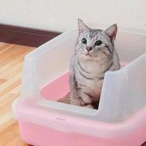 Что делать, если кошка не ходит в туалет по-большому несколько дней