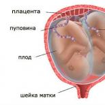 Kaj je fetalna kardiotografija (CTG) med nosečnostjo?