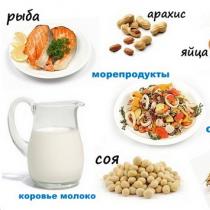 تغذیه در دوران شیردهی Komarovsky