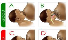 Ar turėtumėte maitinti kūdikį pagal grafiką?