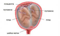 რა არის ნაყოფის კარდიოტოგრაფია (CTG) ორსულობის დროს?