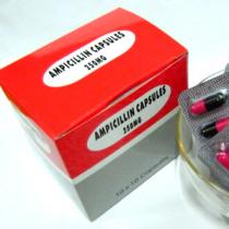Liečba mastitídy u žien antibiotikami