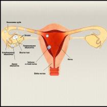 Bolesť na hrudníku počas a po ovulácii: normálna alebo patologická